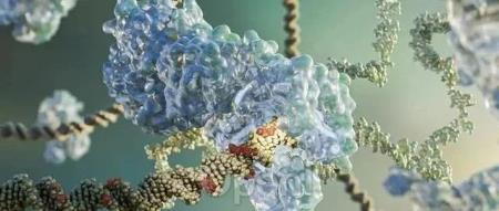 Nature最新发现颠覆了几十年来关于DNA复制的假设