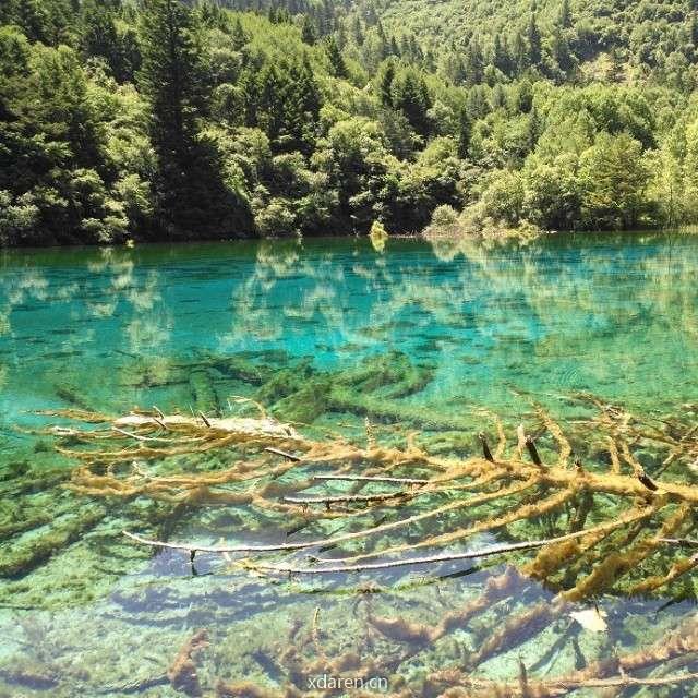 肖申克的理想国