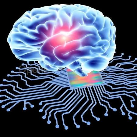 好好睡一觉，记忆力更强！最新《科学》确认睡眠“重启”大脑的学习功能