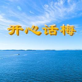 开心话梅
