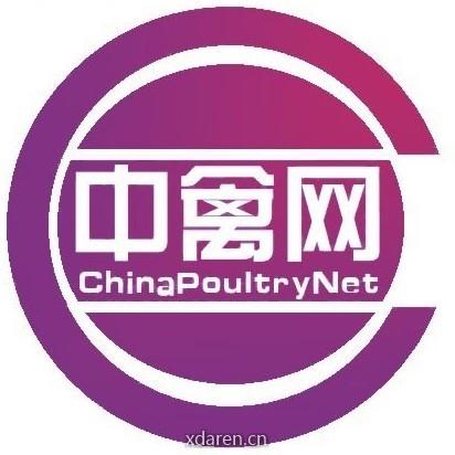 中禽网