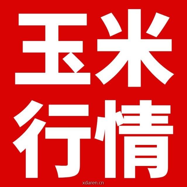 今日玉米粮价