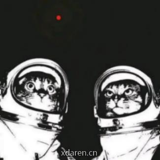 彤子的飞行日记