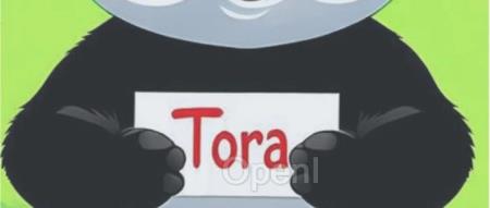 阿里「轨迹可控版Sora」,告别「抽卡」,让视频生成更符合物理规律