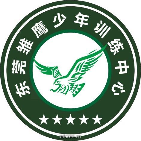 东莞雏鹰少年训练中心