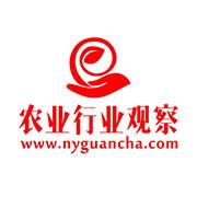 农业行业观察