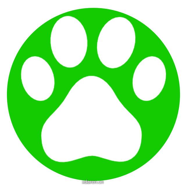 佳木斯流浪猫狗救助基地