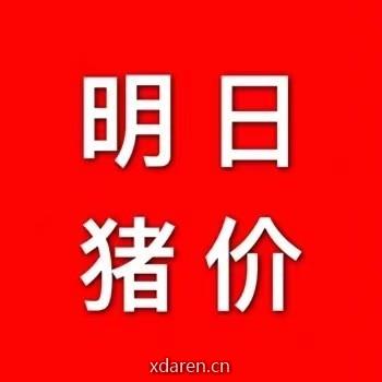 天天I猪价