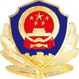 湖北公安政务服务平台