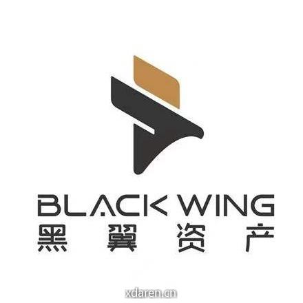 黑翼资产