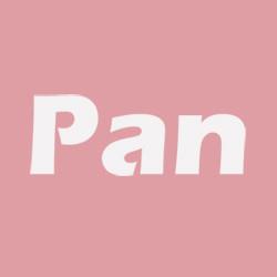 Pan式爱美哲学