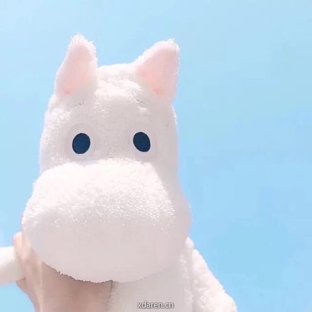 念一菌