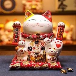 财猫足球