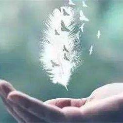 每日因果小故事