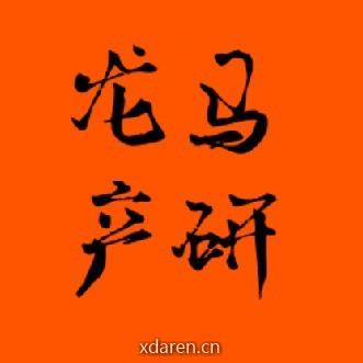 龙马产研