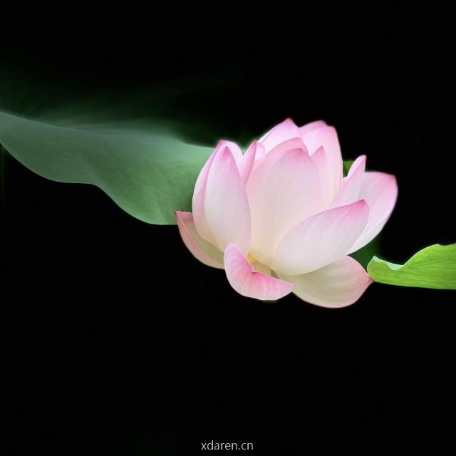 网络药理学课堂