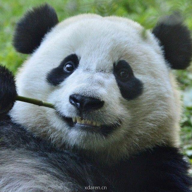 程序猿by三掌柜