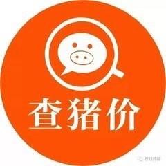 天天查猪价