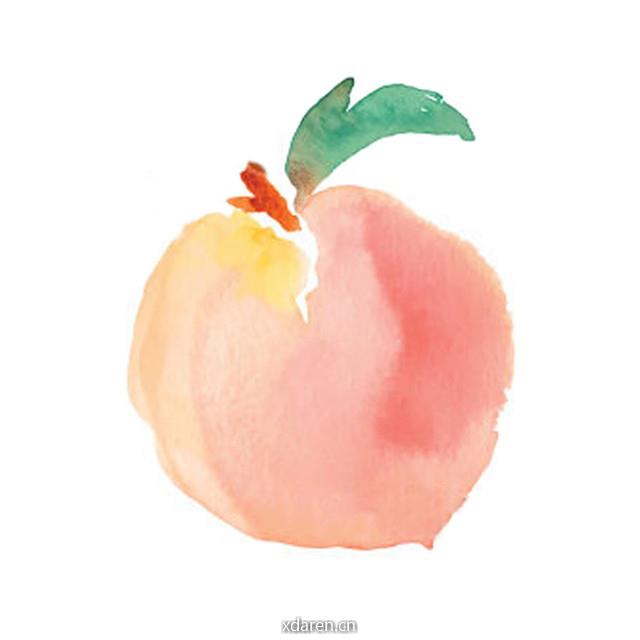 桃桃的生活美学