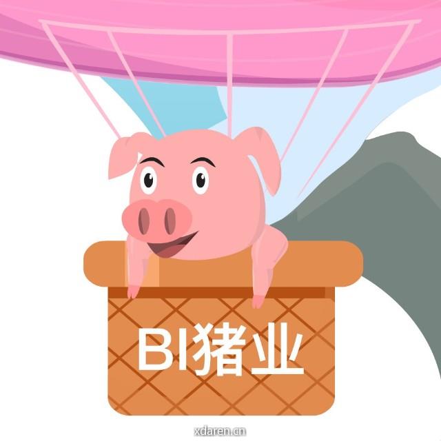 BI猪业资讯