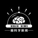 brainnews