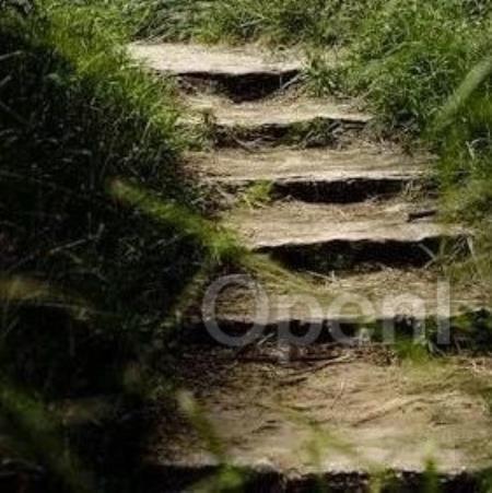 哎呀,我们“挂了”!——这是能说的吗?| 直播预告