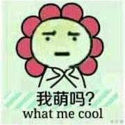 表情专辑