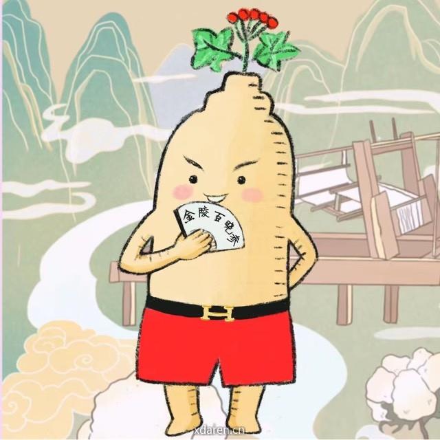 金陵地产百晓参