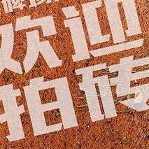 流浪的橡树