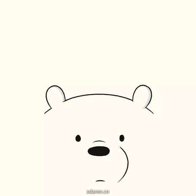 小熊座的20年