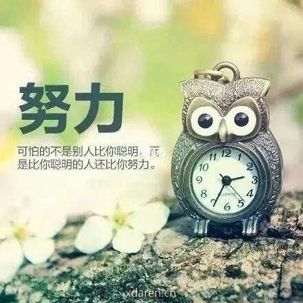 每日拱壹卒
