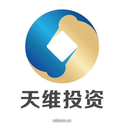 天维投资