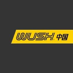 WUSH汽车