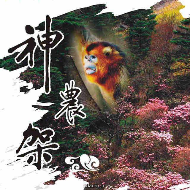 神农架旅游