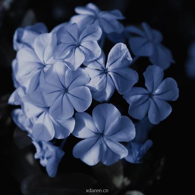 188的大本事