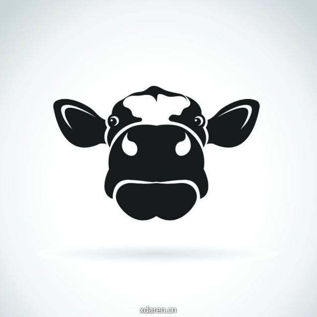 菜鸟网工