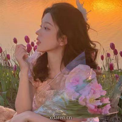 怡怡聊剧