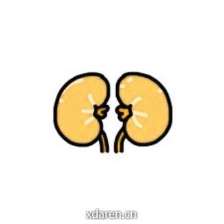腰腰金融