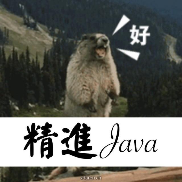 精进Java