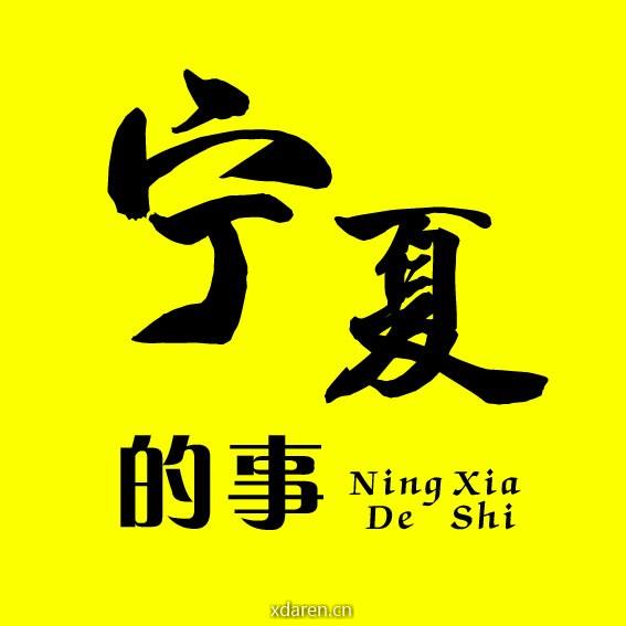 宁夏的事