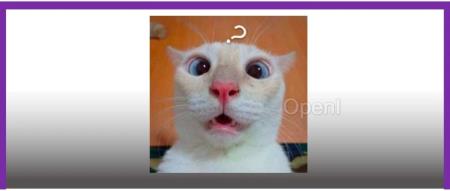 多模态,彻底爆发了!