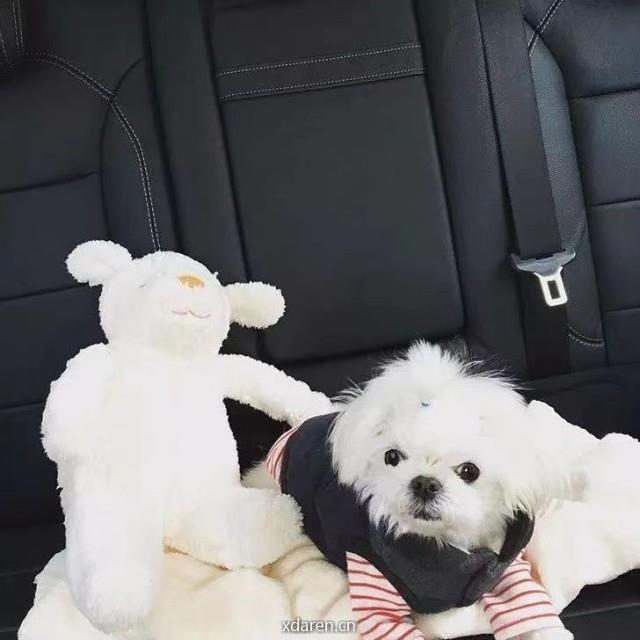 木独见