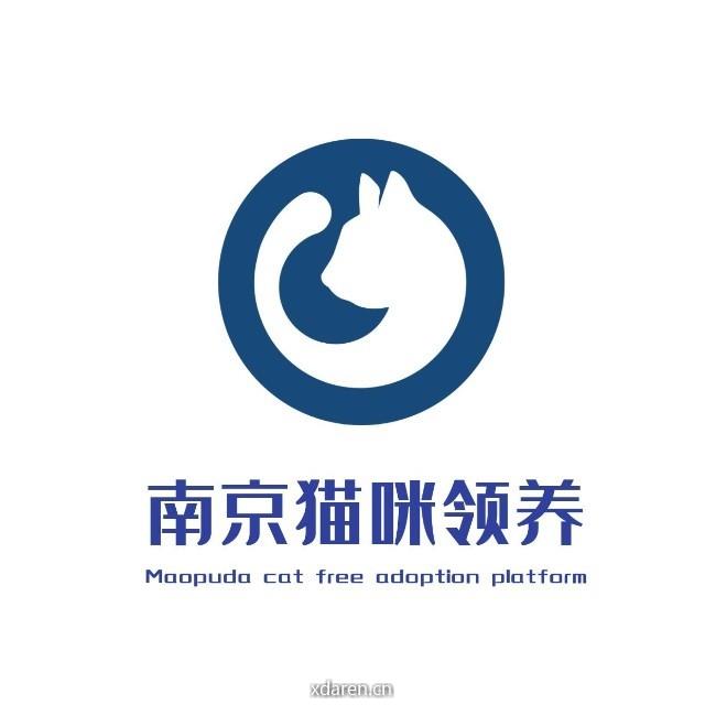 南京猫咪领养Maopuda