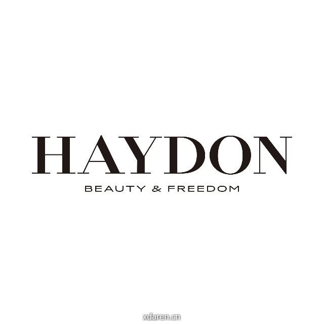 HAYDON黑洞