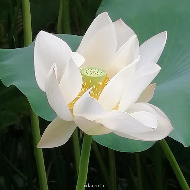 医路芬芳