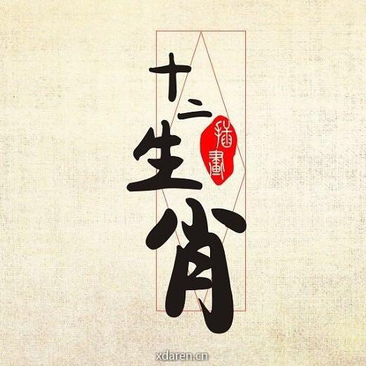 十二生肖运程解析