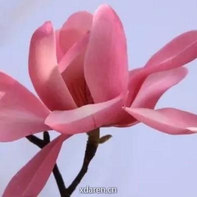 以太按摩E回归自然平衡健康之道