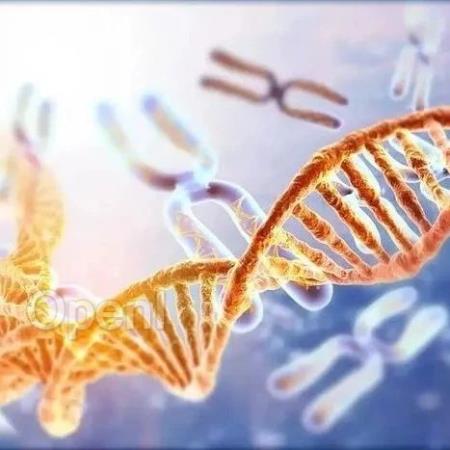 Science挑战了遗传密码规则:一种可以自由漂浮和短暂存在的基因