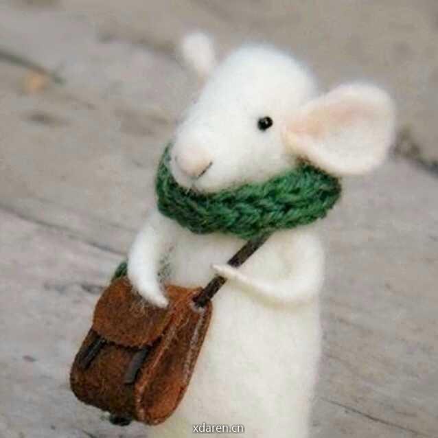 小蕃鼠时光日记