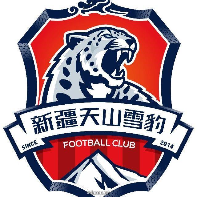天山雪豹足球俱乐部